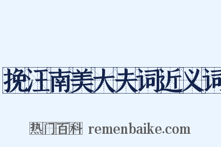 挽汪南美大夫词近义词是什么意思的图片
